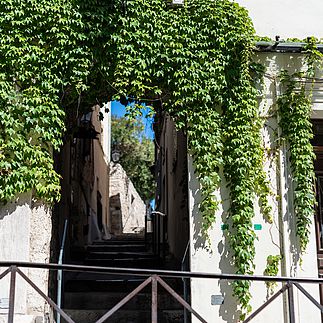 Passage verdoyant vers le duplex d'Antibes